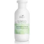 Wella Care Elements Shampoo 250 ml – Zbozi.Blesk.cz