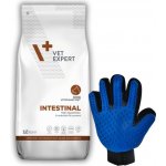 VetExpert Veterinary Diet 4T Intestinal Dog 12 kg – Zboží Mobilmania
