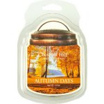 Chestnut Hill Candle Vonný Vosk Autumn Days 105 g – Hledejceny.cz