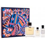 Hermés Terre D'Hermés EDT 100 ml + EDT 12,5 ml + balzám po holení 40 ml dárková sada – Hledejceny.cz