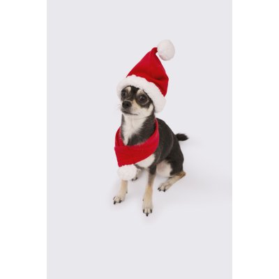 BONE Pet Store Magický vánoční set pro pejsky – Zboží Mobilmania