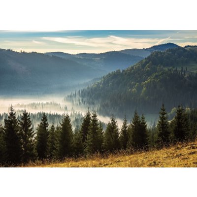 Postershop Fototapeta vliesová Lesní příroda horská krajina, rozměry 152,5x104 cm – Zboží Mobilmania