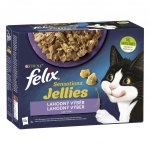 Felix Sensations Jellies jehněčí makrela sleď krůta v želé 12 x 85 g – Sleviste.cz