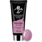 Molly Lac Poly gel Bean Paste 50 ml – Zboží Mobilmania