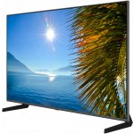 Samsung QE50QN80FAU – Hledejceny.cz