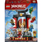 LEGO® NINJAGO® 71866 Výstavka nindžů: 15 let NINJAGO – Zboží Dáma
