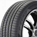 Pirelli P Zero All Season 245/45 R19 102Y – Hledejceny.cz