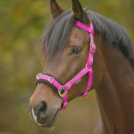 Waldhausen Obnosek lonžovací růžový – Hledejceny.cz