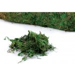Dekorační umělý mech zelený - 100 g – Zboží Mobilmania