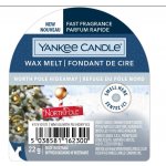 Yankee Candle vonný vosk North Pole Hideaway 22 g – Zboží Dáma