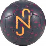 Puma Neymar Jr. Graphic – Zboží Mobilmania