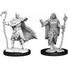 WizKids D&D Nolzur's Marvelous Miniatures: Human Druid Male