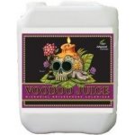 Advanced Nutrients Voodoo Juice 1 l – Hledejceny.cz