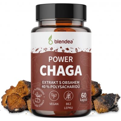 Blendea Chaga extrakt 60 kapslí – Hledejceny.cz