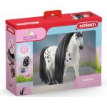 Schleich 42622 Výstavní knabstrupský hřebec – Sleviste.cz