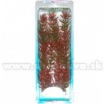 Tetra Myriophyllum heterophyllum - Red Foxtail 30 cm – Hledejceny.cz