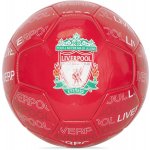 Nike LIVERPOOL FC Strike – Sleviste.cz