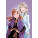 JERRY FABRICS Deka mikroflanel Ledové Království Purple 05 – Hledejceny.cz