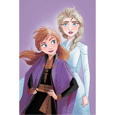 JERRY FABRICS Deka mikroflanel Ledové Království Purple 05 – Hledejceny.cz