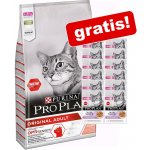 Purina Cat Ad. Chicken 10 kg – Sleviste.cz