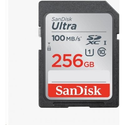 SanDisk SDXC 256 GB SDSDUNR-256G-GN3IN – Hledejceny.cz