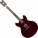 D'Angelico Premier DC – Zboží Dáma