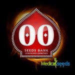 00 Seeds Bank Mimosa semena neobsahují THC 3 ks – Hledejceny.cz
