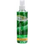 Italwax tonikum předdepilační Aloe Vera 250 ml – Zboží Dáma