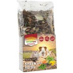 Nature Land Pochoutka Botanical bylinkový mix 150 g – Hledejceny.cz