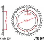 JT Sprockets JTR 867-43 | Zboží Auto