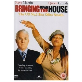 Bringing Down The House DVD