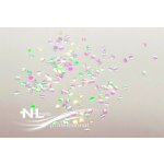 NL nails professional GLITTER MIRROR rainbow – Hledejceny.cz