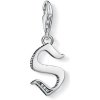 Přívěsky Thomas Sabo Charm Club TS 4200