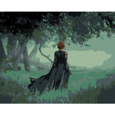 Zuty Malování podle čísel ČARODĚJNICE NA KRAJI TEMNÉHO LESA – Hledejceny.cz