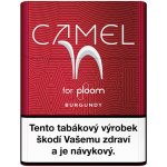 Camel for Ploom Burgundy karton – Zboží Dáma