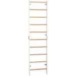 Rinagym Žebřiny na cvičení 230 cm x 58 cm – Hledejceny.cz