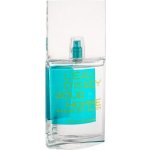 Issey Miyake L'Eau d'Issey Pour Homme Shade of Lagoon toaletní voda pánská 100 ml – Hledejceny.cz