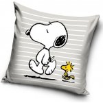 Carbotex Snoopy a Woodstock 40 x 40 cm – Hledejceny.cz