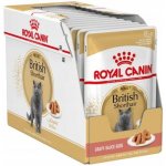 Royal Canin British Shorthair Gravy 12 X 85 g – Sleviste.cz