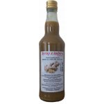 Hollinger Sirup zázvorový 0,5 l – Sleviste.cz