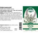 Šišák bajkalský tinktura z pupenů 50 ml – Hledejceny.cz