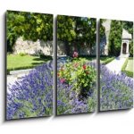 Obraz 3D třídílný - 105 x 70 cm - garden in Les Baux de-Provence, Provence, France zahrada v Les Baux de – Hledejceny.cz