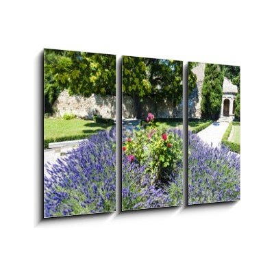 Obraz 3D třídílný - 105 x 70 cm - garden in Les Baux de-Provence, Provence, France zahrada v Les Baux de – Hledejceny.cz