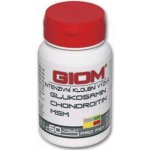 Giom Chondro L-karnitin Forte 60 tbl – Hledejceny.cz