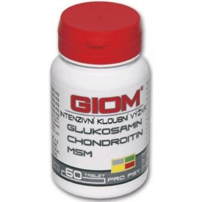 GIOM ERA Chondro L-karnitin Forte 60 tbl