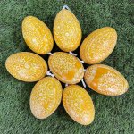 Ručně malované velikonoční husí kraslice na zavěšení, 1ks – Hledejceny.cz