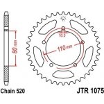 JT Sprockets JTR 1075-36 | Zboží Auto