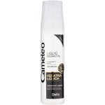 Delia Cosmetics Cameleo BB tekutý keratin ve spreji pro poškozené vlasy 150 ml – Hledejceny.cz