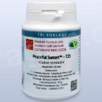 Maciocia Klidné stmívání T25 60 tablet – Hledejceny.cz
