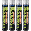 Spalovače tuků EnergyBody L-Carnitine Liquid 2000 500 ml